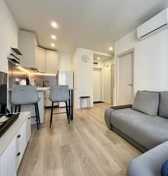 Пушкинская, 1/2 (1комн) 31000 рублей - Фото 5