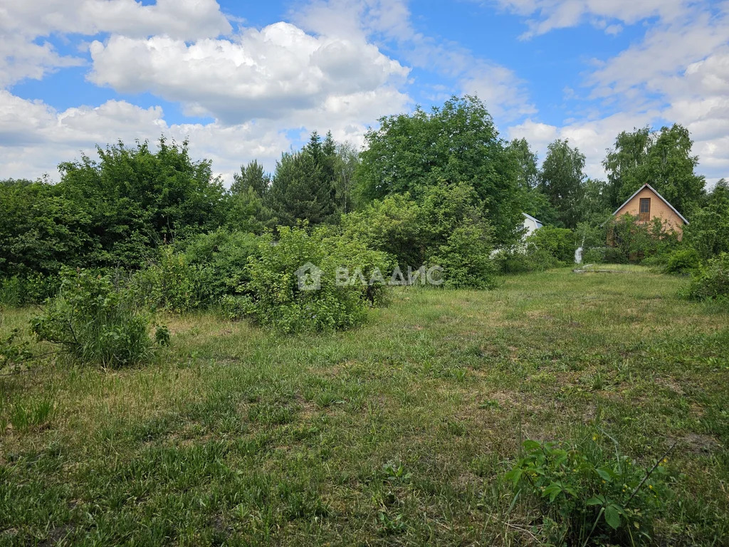 Богородский городской округ, деревня Пашуково, Горная улица,  земля на ... - Фото 4