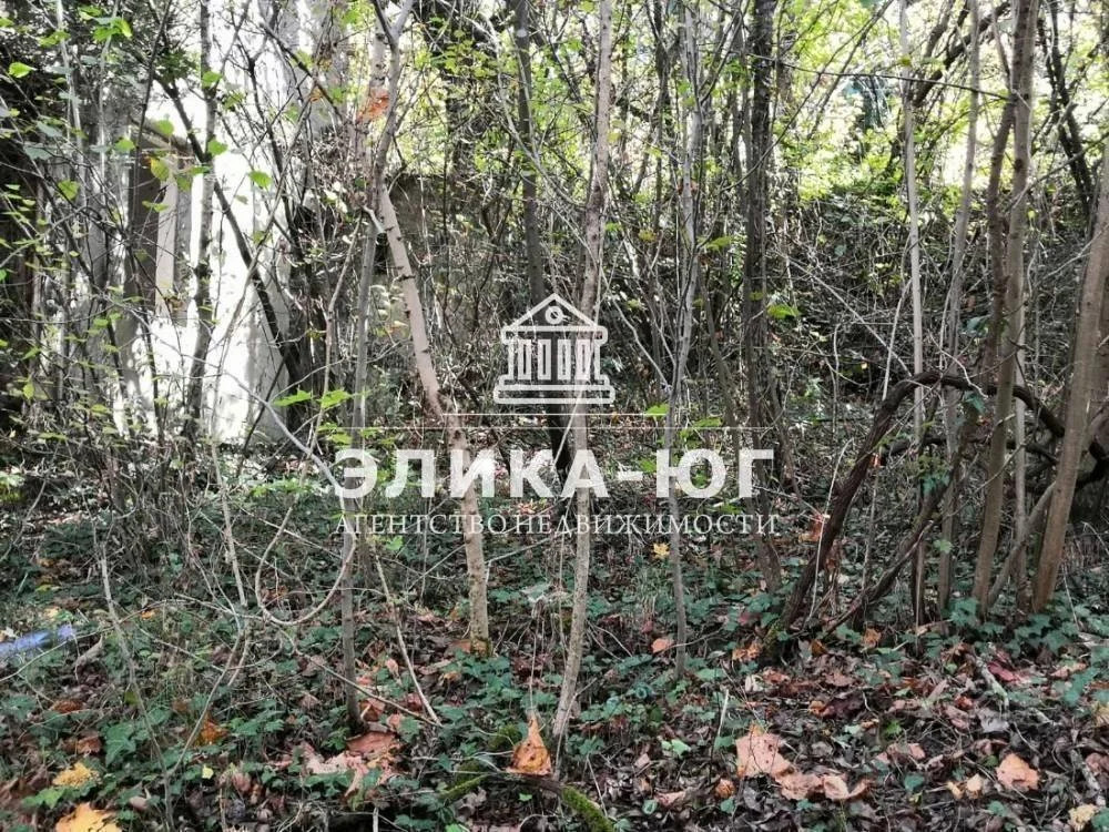 Продажа участка, Вольное, Туапсинский район, ул. Лесная - Фото 2