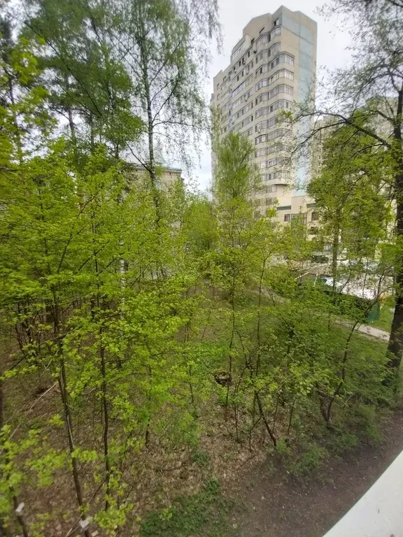 2-ка, Раменское, ул. Королева, 37 - Фото 11