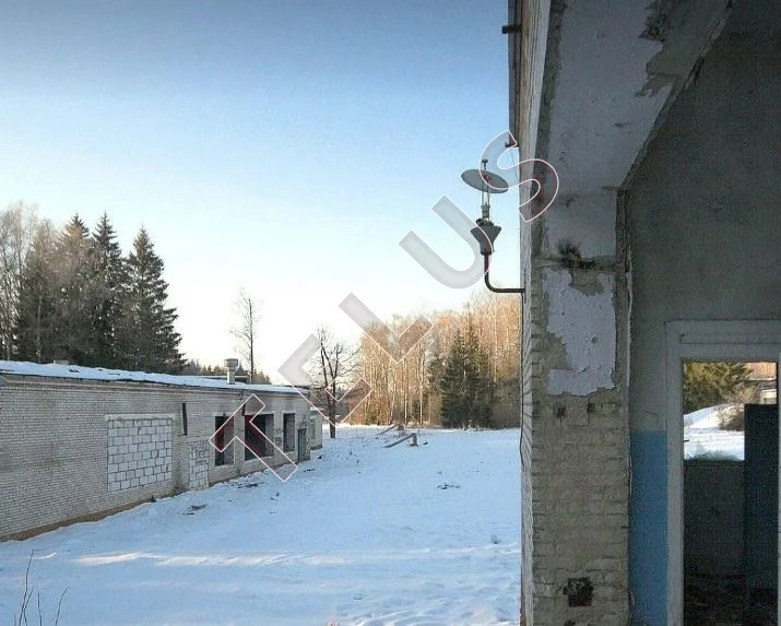 ТАО, деревня Кресты, 6000 м2, Комплекс зданий и участок 17 Га (ном. ... - Фото 7