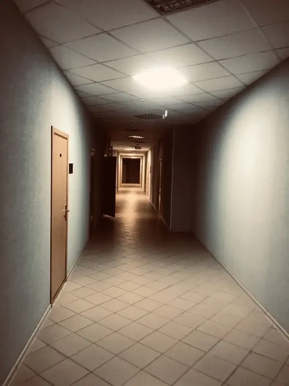 м. Трикотажная 14 м.п. ул.В.Петушкова д.8.Сдается ПСН 200 кв.м на 5/5 - Фото 5