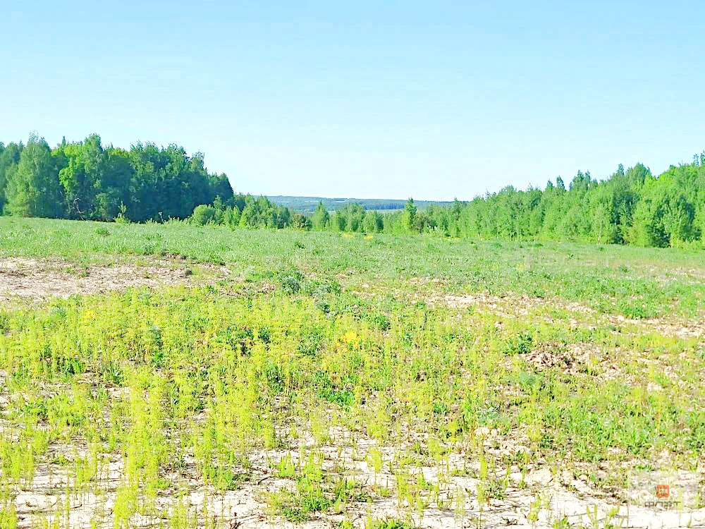Продажа участка, Большие Кургузи, Зеленодольский район, ул. Нагорная - Фото 11