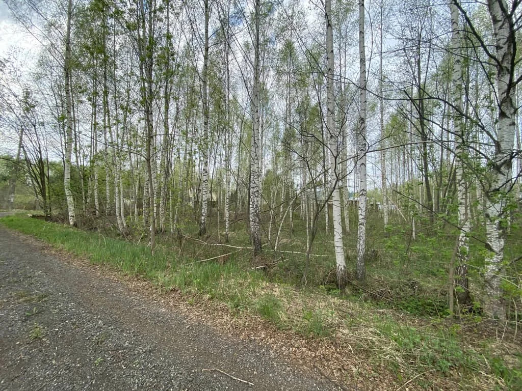 Продажа участка, Дмитровский район - Фото 7