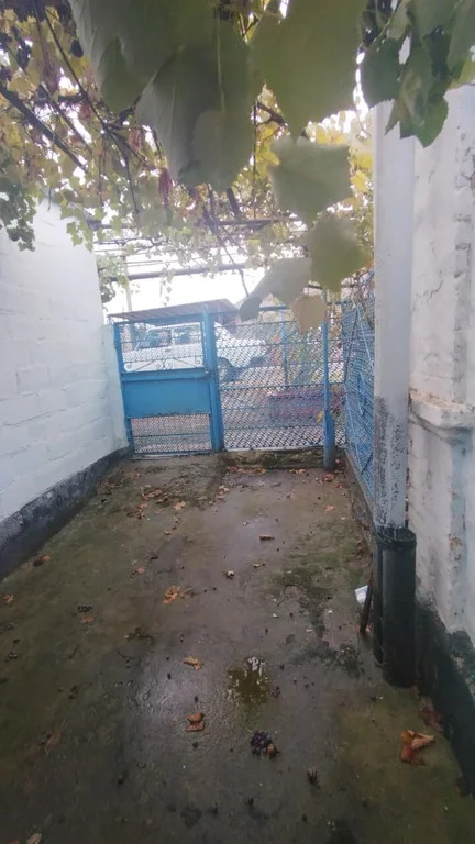 Продажа дома, Темрюк, Темрюкский район, ул. Гагарина - Фото 15