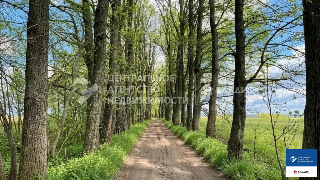 Продажа участка, Рязанский район - Фото 7