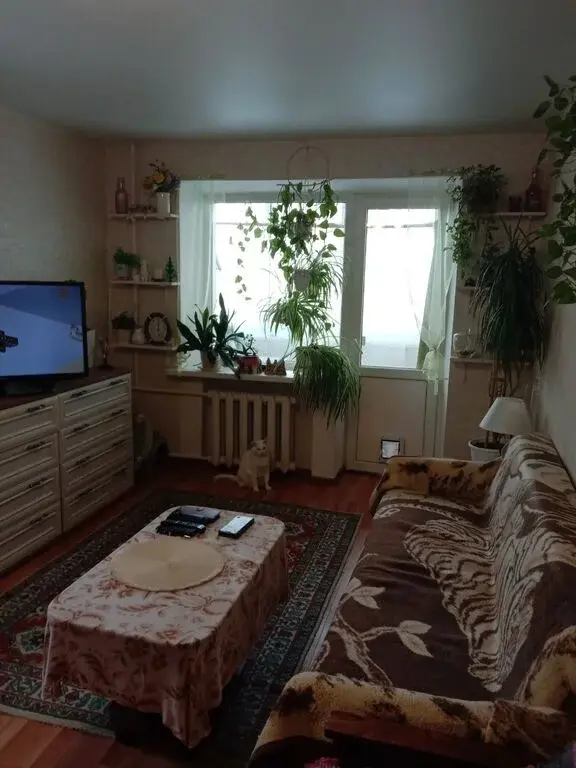 квартира - Фото 1