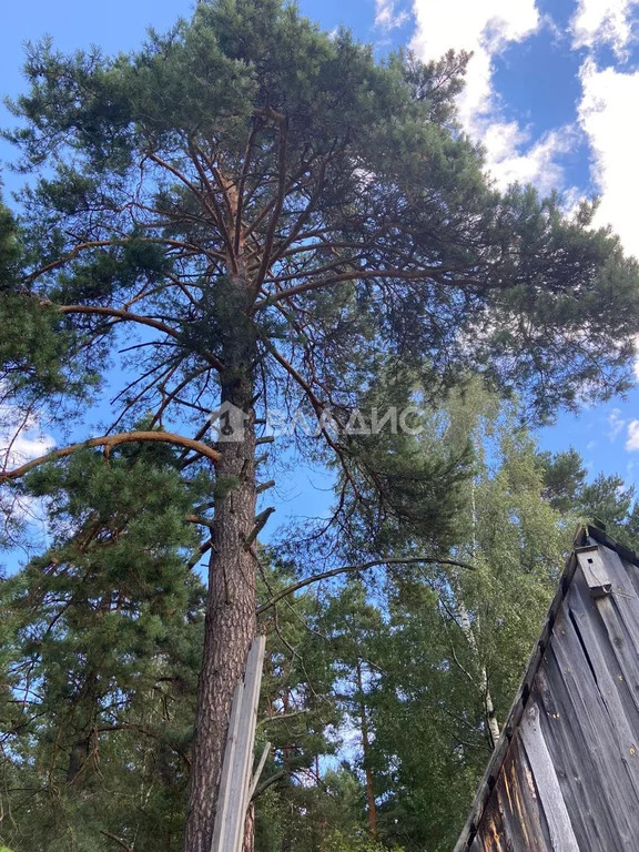 Гусь-Хрустальный район, деревня Вашутино, Школьная улица, д.3, . - Фото 2