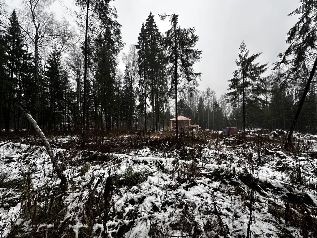 Земельный участок 15 соток в Московская обл., пос. Некрасовский - Фото 9