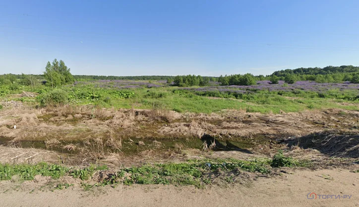 Продажа земельного участка, Борихино, Клинский район, д. 1г - Фото 0