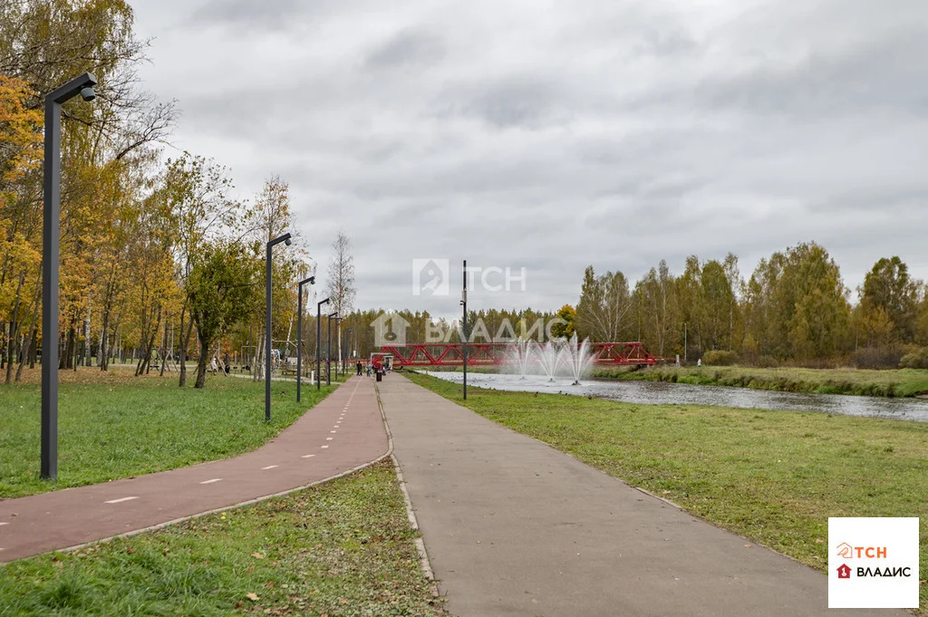 городской округ Пушкинский, Ивантеевка, Фабричный проезд, д.9, ... - Фото 18