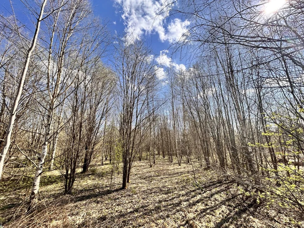 Продажа участка, Дмитровский район - Фото 6