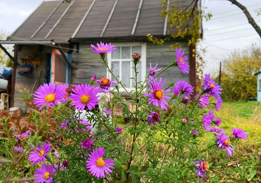 Участок на улице Механизаторов - Фото 6