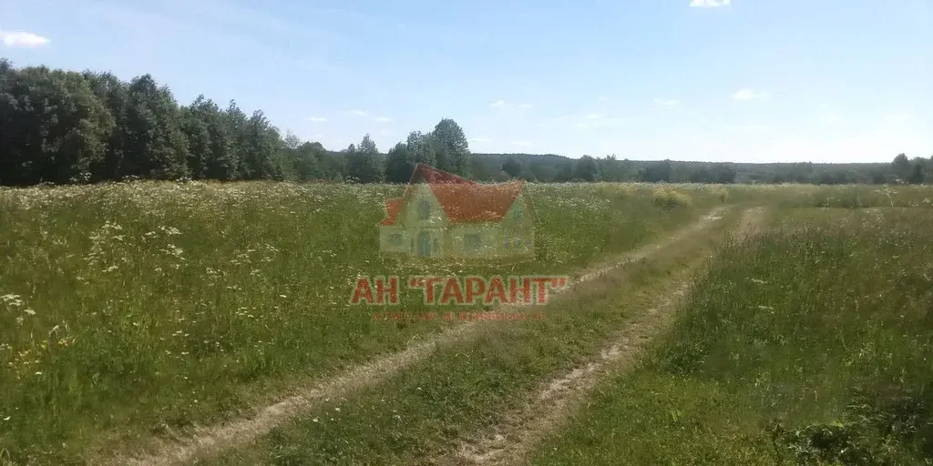 Дом в д.Буньково Александровский р-н Владимирская обл. - Фото 31