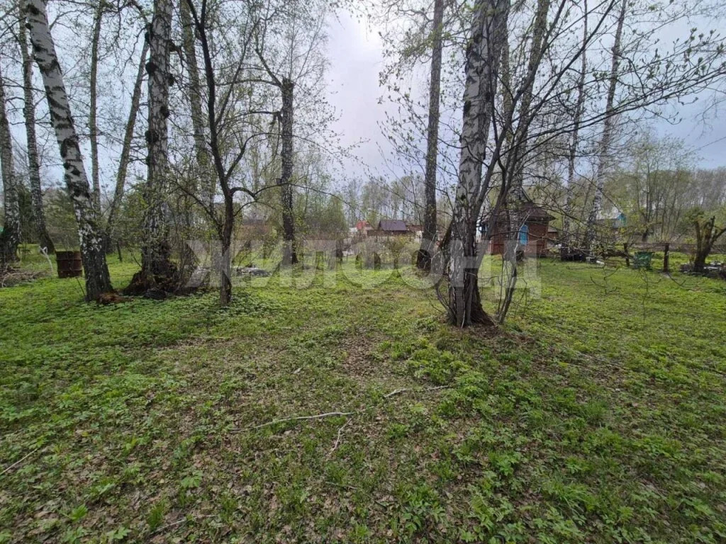 Продажа дома, Новосибирск, снт Заря - Фото 5