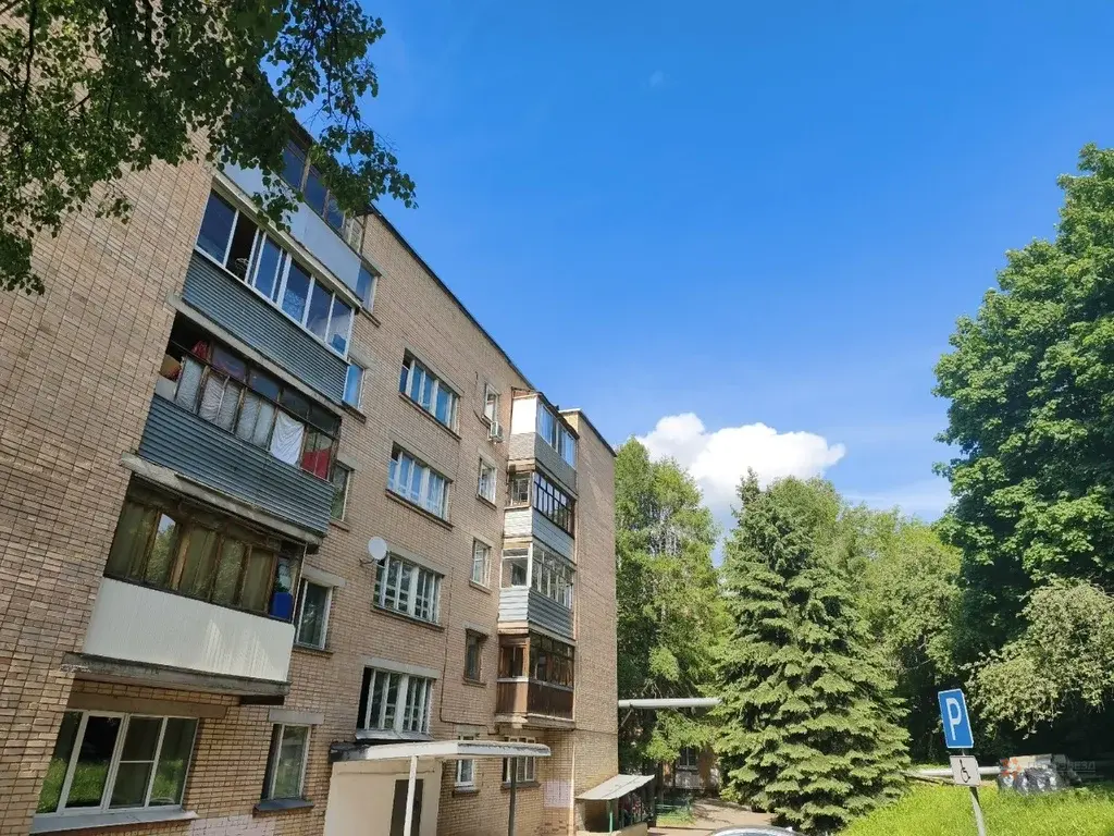 Продается 4-комнатная квартира Чехов, Набережная, д. 5 - Фото 32