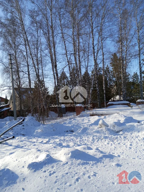 городской округ Бердск, Бердск, посёлок Светлый, Таёжная улица,  земля ... - Фото 1