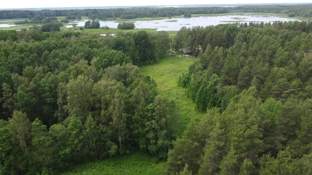 Продажа участка, Выборгский район, улица Зиминская - Фото 1