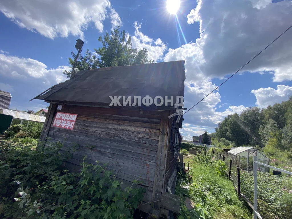 Тихие зори краснообск