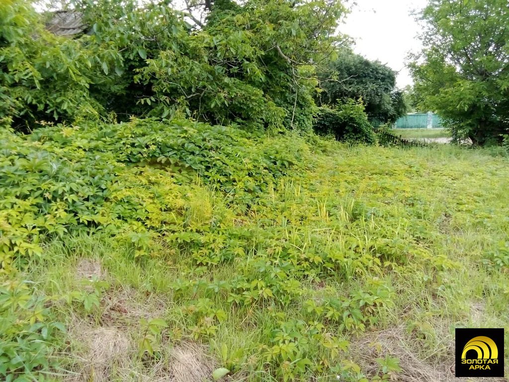 Продажа участка, Старотитаровская, Темрюкский район, Ильича пер. - Фото 6