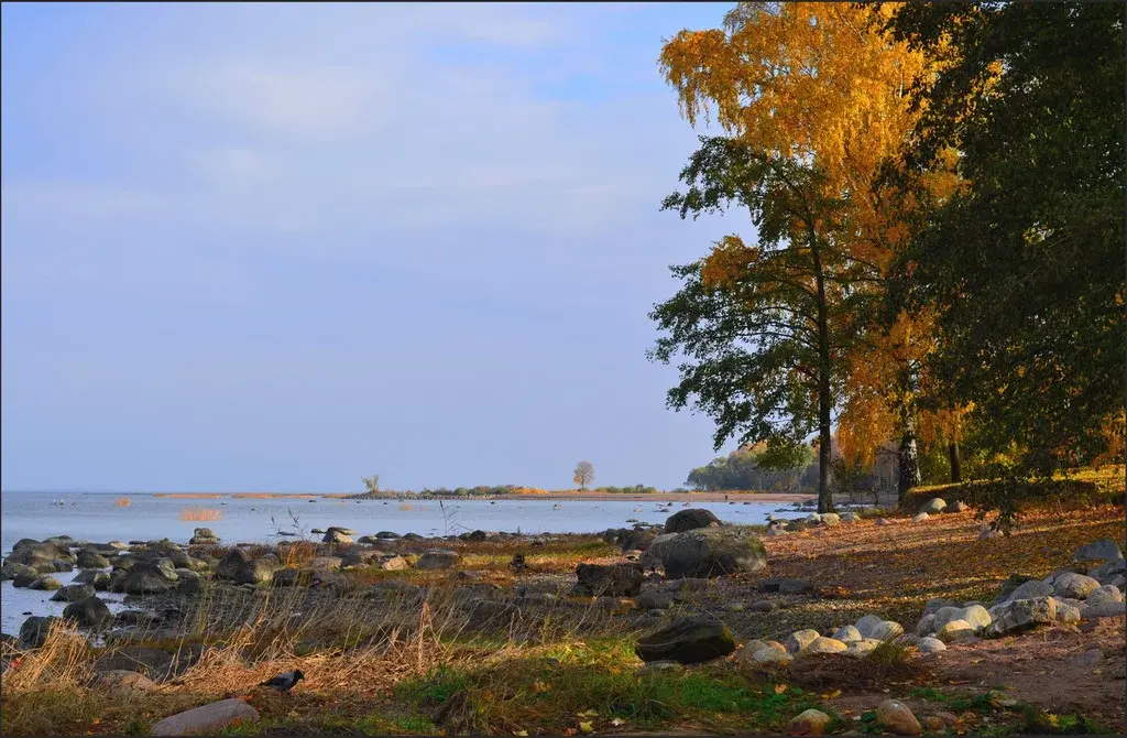 Пляж в мартышкино