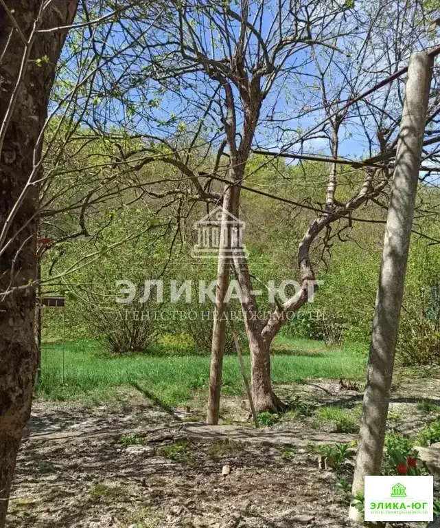 Продажа участка, Пляхо, Туапсинский район, ул. Лесная - Фото 3