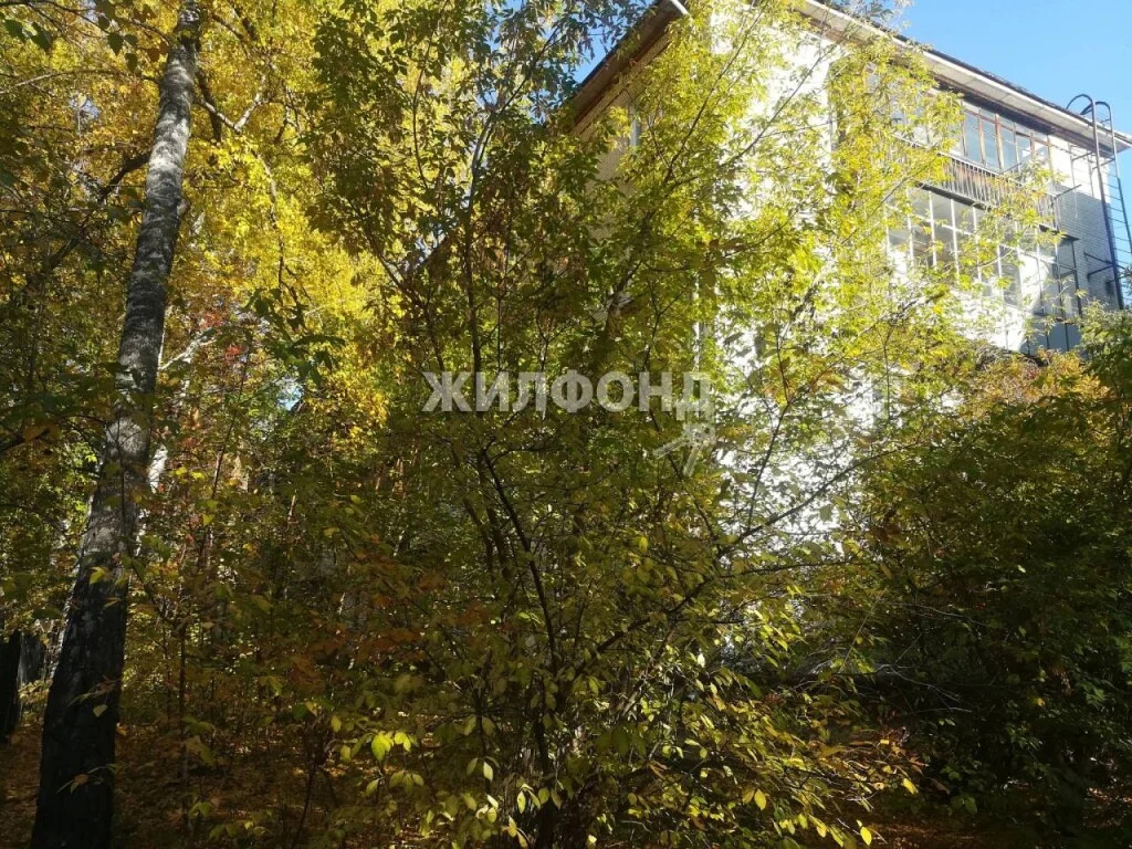 Продажа квартиры, Новосибирск, ул. Жемчужная - Фото 19