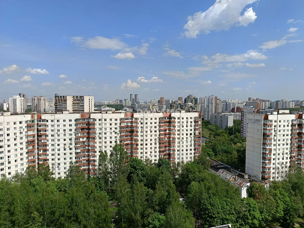 Москва, Ленинский проспект, д.131к2, 3-комнатная квартира на продажу - Фото 21