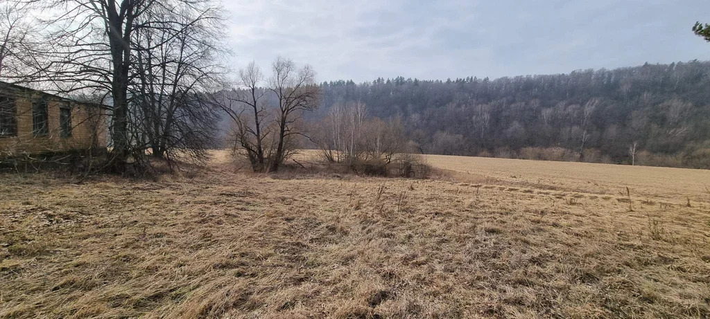 База отдыха "Лесные дали" - Фото 14