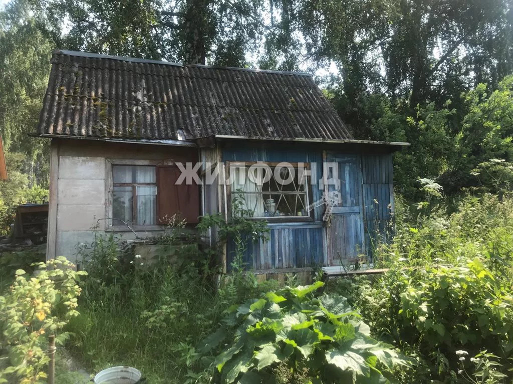 Купить Дачу В Академгородке Новосибирск