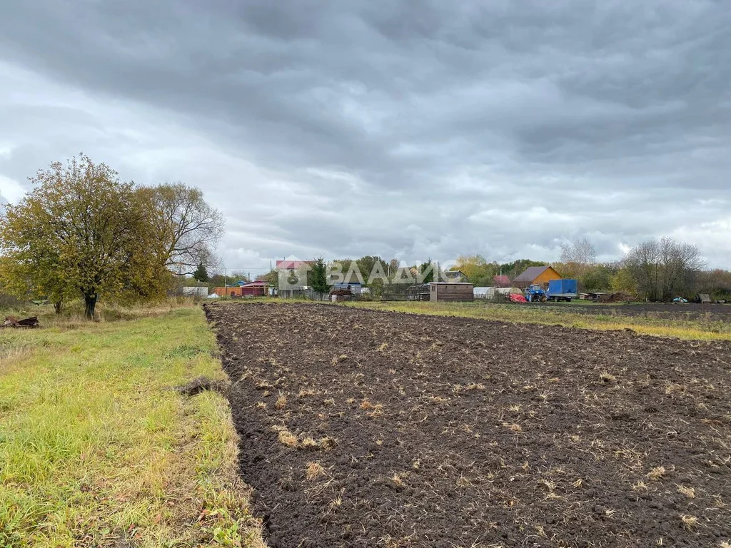 Суздальский район, село Новоалександрово,  земля на продажу - Фото 2