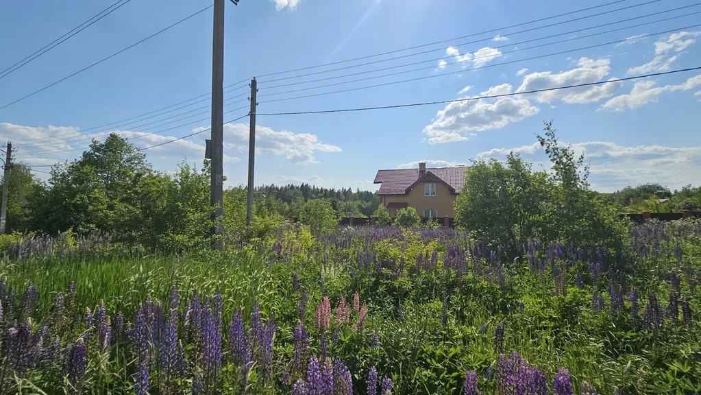 Продажа участка, Селищево, Солнечногорский район, ул. Ольховая - Фото 13