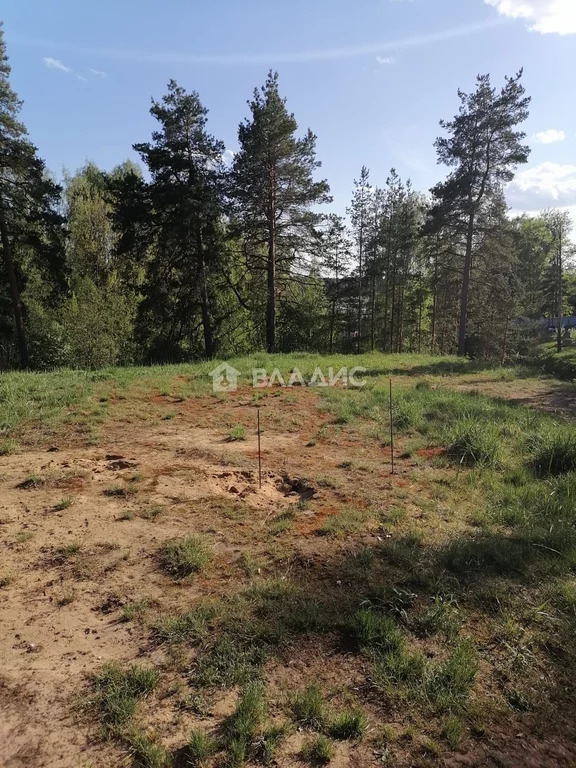 Лужский район, городской посёлок Толмачёво, Нагорная улица, дом на . - Фото 3