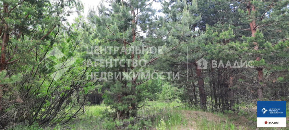Продажа участка, Сумбулово, Спасский район - Фото 4