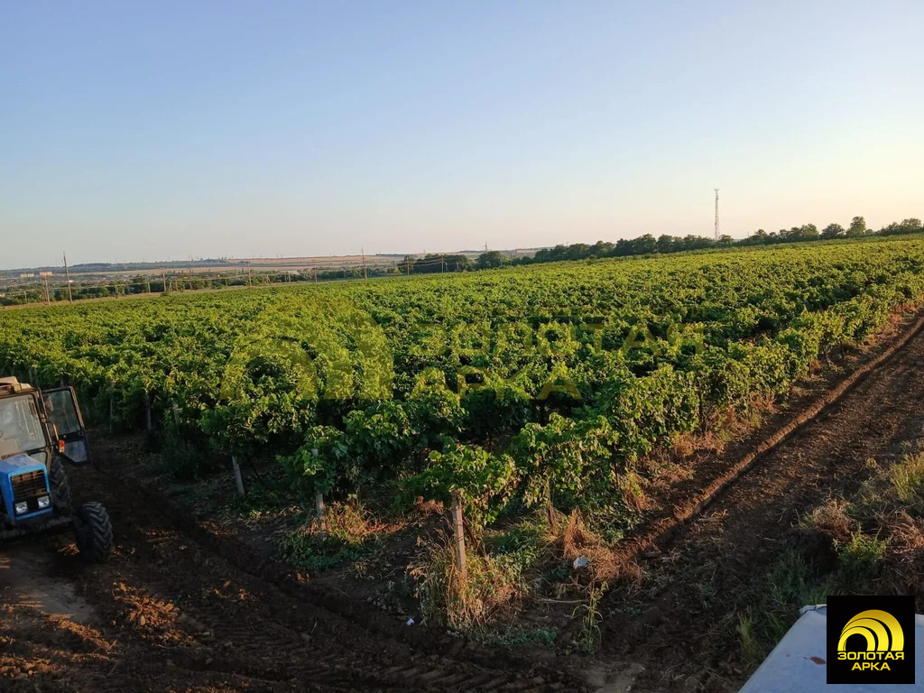 Продажа участка, Старотитаровская, Темрюкский район, Ильича пер. - Фото 4