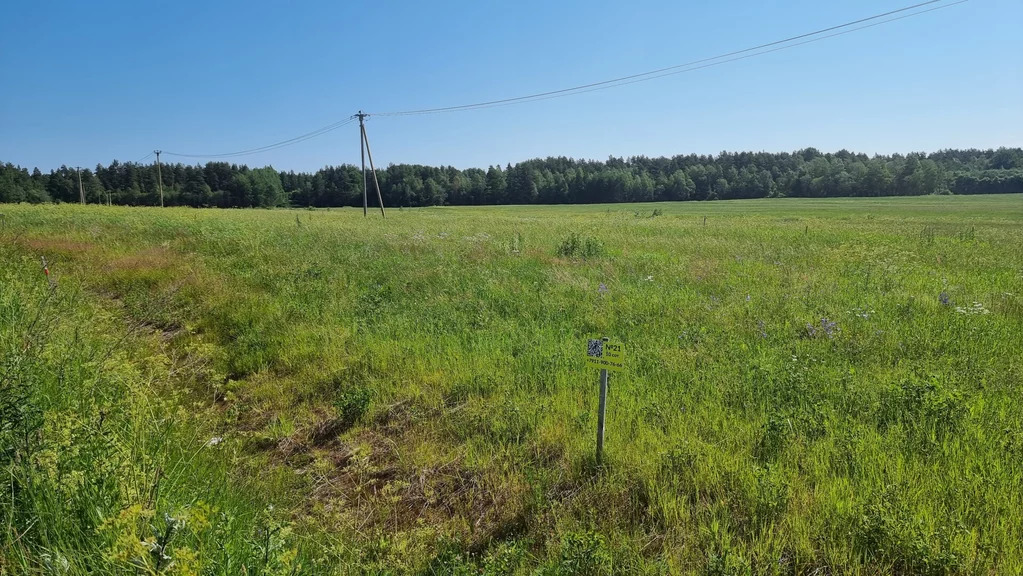 Продажа участка, Солнечное, Приозерский район - Фото 7