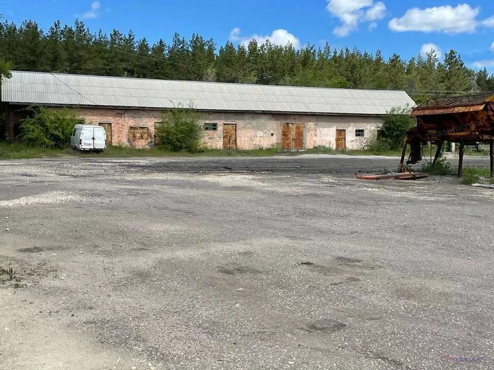 Продажа производственного помещения, Репное, Балашовский район, Пер. . - Фото 1