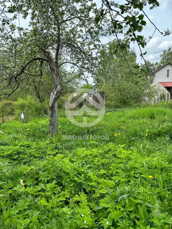 Продажа участка, Кривцово, Солнечногорский район, участок 5906 - Фото 1