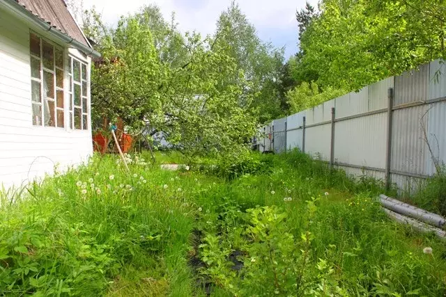 Погода в пгт рязановский. Поселок Рязановский. Детский сад поселок Рязановский Егорьевский.