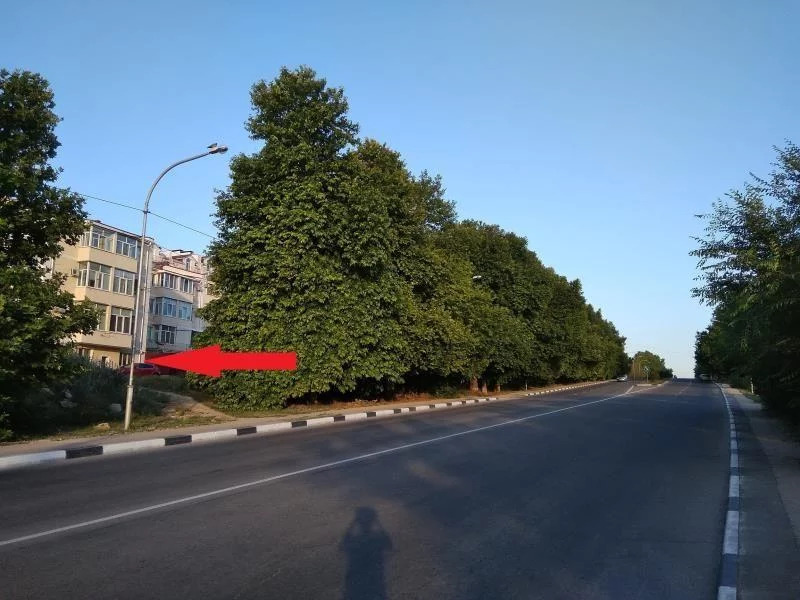 Севастополь багрия 41 карта