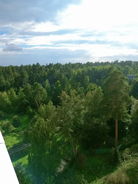 2-ка, г/о Пушкино, Красноармейск, ул. Новая Жизнь, 8к1 - Фото 17