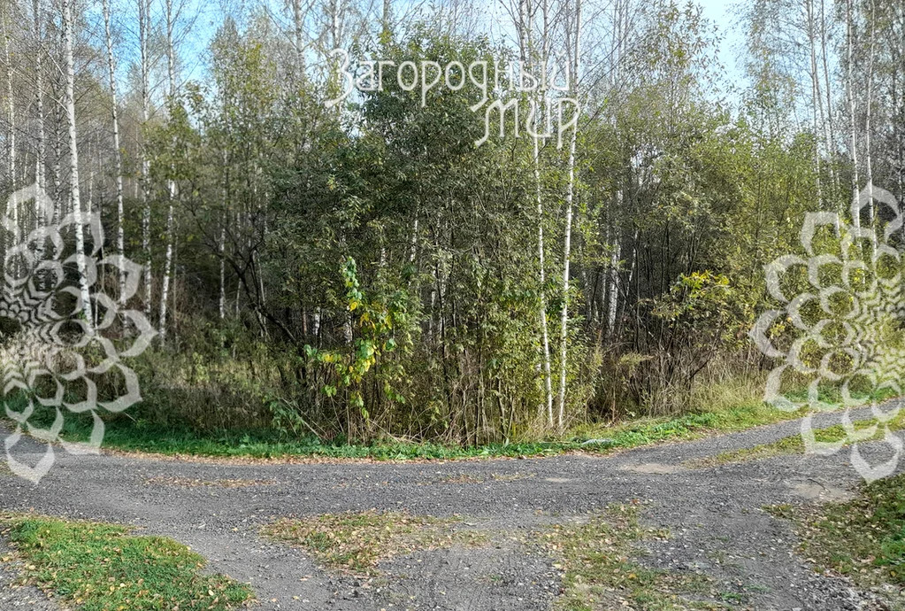 Продам участок, Дмитровское шоссе, 85 км от МКАД - Фото 12