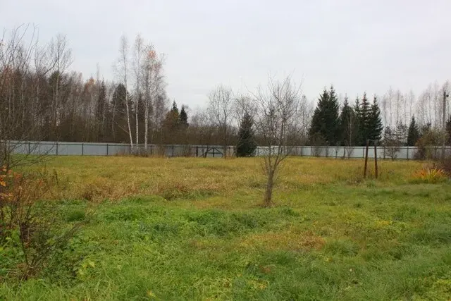 Участок в СНТ Ромашка - Фото 3