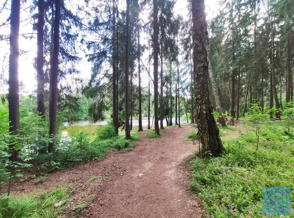 151кв.м. в лесу, кп Гончарная слобода - Фото 9