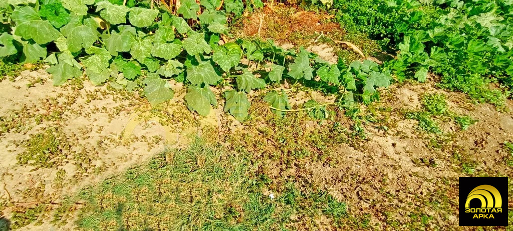 Продажа участка, Варениковская, Крымский район, ул. Стаханова - Фото 5