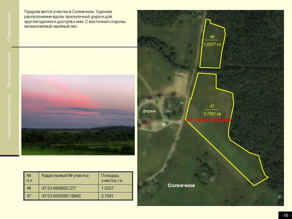 Продажа участка, Солнечное, Приозерский район - Фото 17