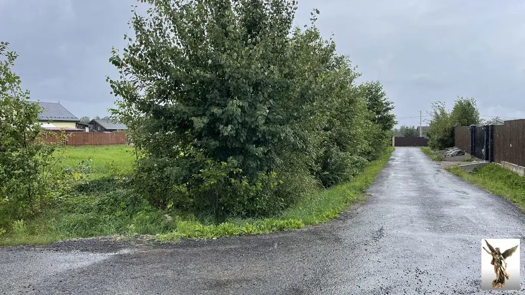 Земельный участок в ДНТ Поляна-2 (массив Белоостров) - Фото 6