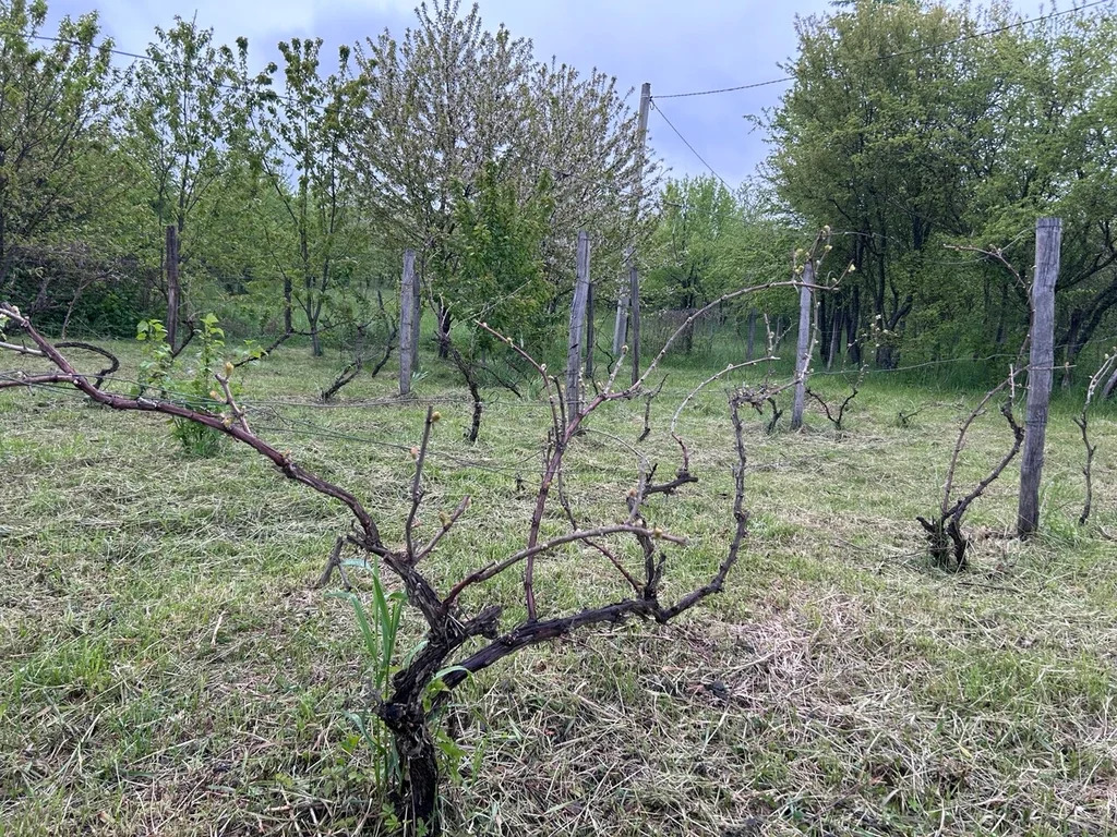 Продажа участка, Северский район - Фото 6