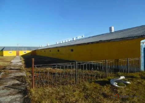 Продажа производственного помещения, Югорск, ул. Малиновая - Фото 17