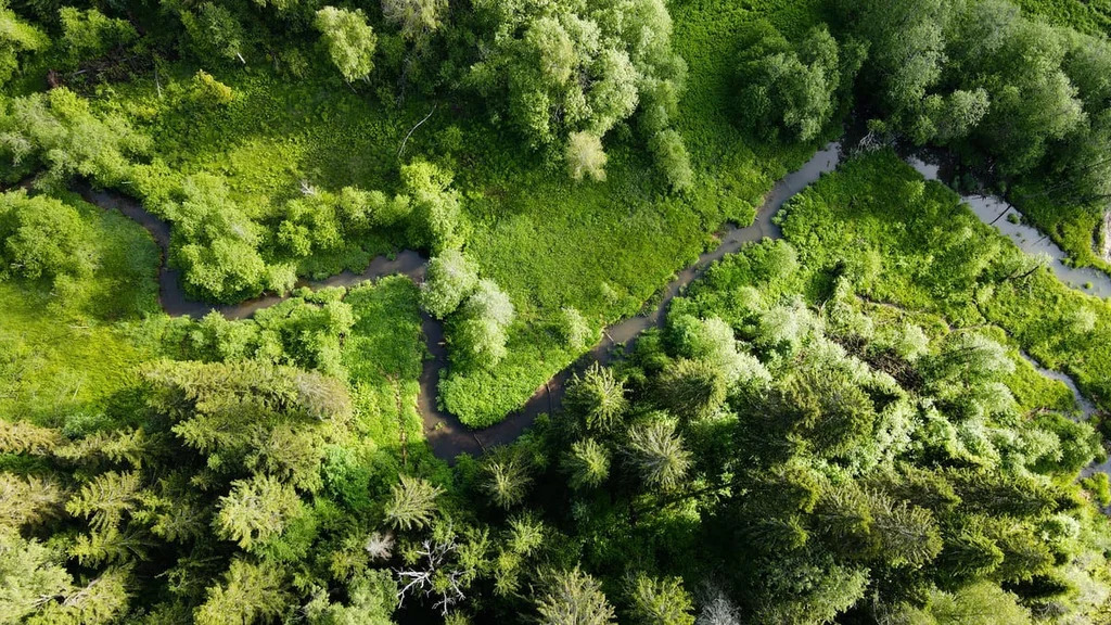 Дом 81 м2 на участке 6 сот. - Фото 4